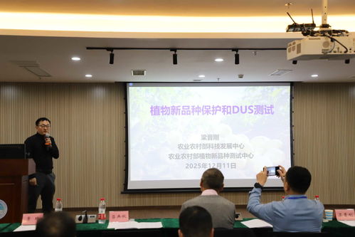 以技術創新驅動產業升級 全國馬鈴薯種業高質量發展交流會在渝召開，共探農業科技研發新路徑