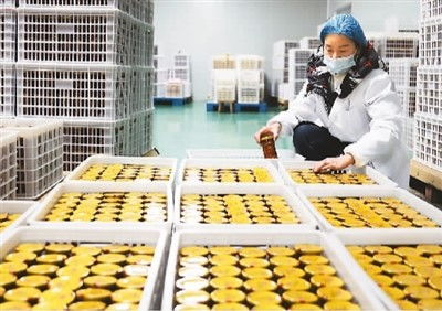 穩居第一，小小罐頭闖世界 農業科技研發鑄就餐桌全球化