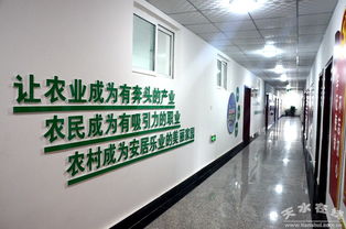 中國電子科技集團消費扶貧新舉措 采購清水農產品助力鄉村振興，科技研發賦能農業現代化