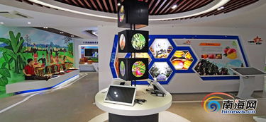 昌江互聯網農業小鎮 借電商快車，力促農產品銷售