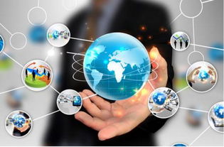 亞馬遜開店選品指南 如何在互聯網銷售中找準爆款