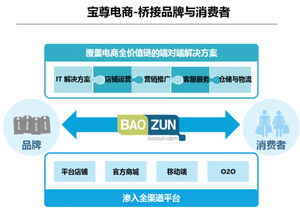 寶尊攜手希杰重構(gòu)電商版圖 安全咨詢撬動萬億市場新機(jī)遇